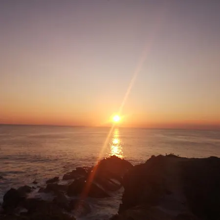 Appartement L'orée Du *