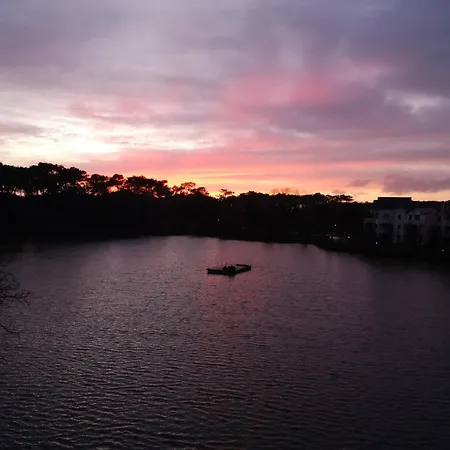 L'orée Du Talmont-Saint-Hilaire